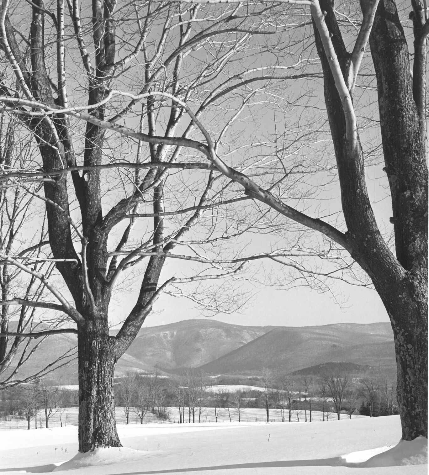 Mount Greylock from Oblong Road, Williamstown, February 1961